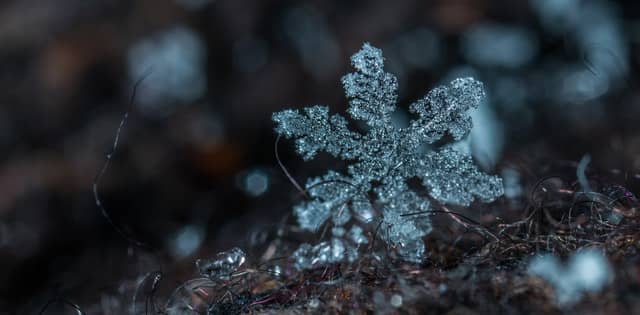 Close up photo of snowflake